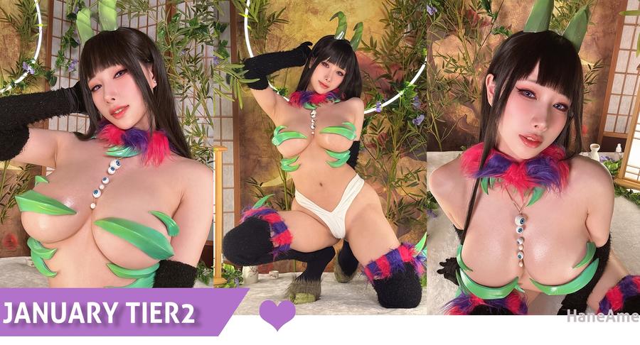 雨波HaneAmeNo.210 – 2024年01月订阅 (4套) [161P 12V]插图