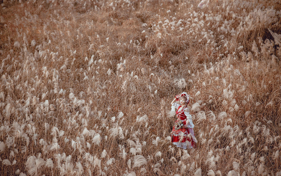 acgbuluo.com _003_.jpg