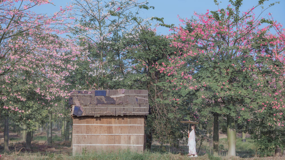 acgbuluo.com _002_.jpg