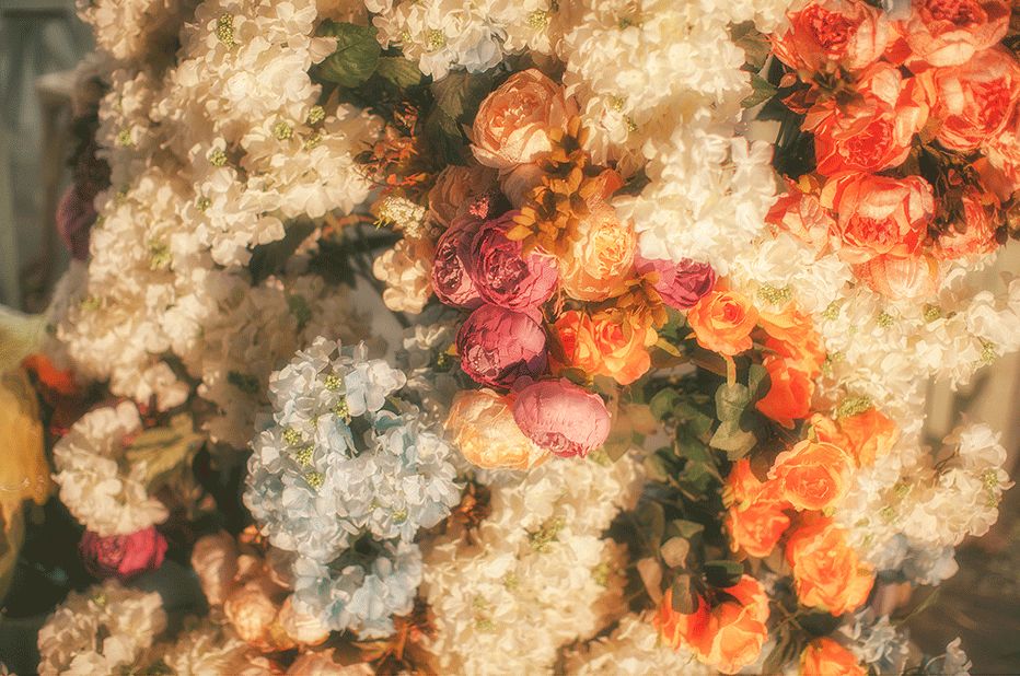 acgbuluo.com _001_.gif