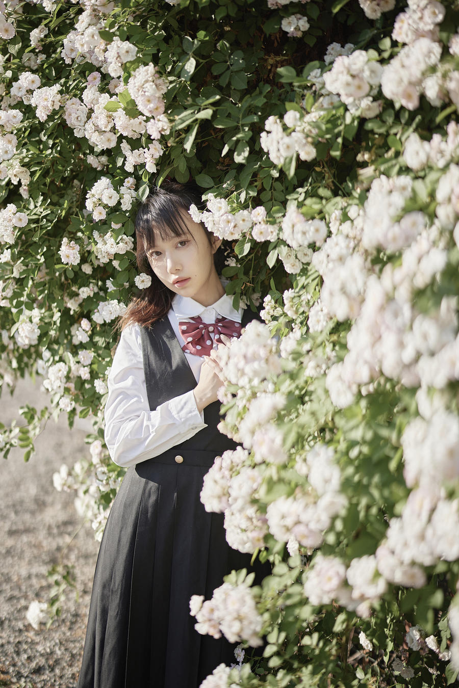 acgbuluo.com _002_.jpg