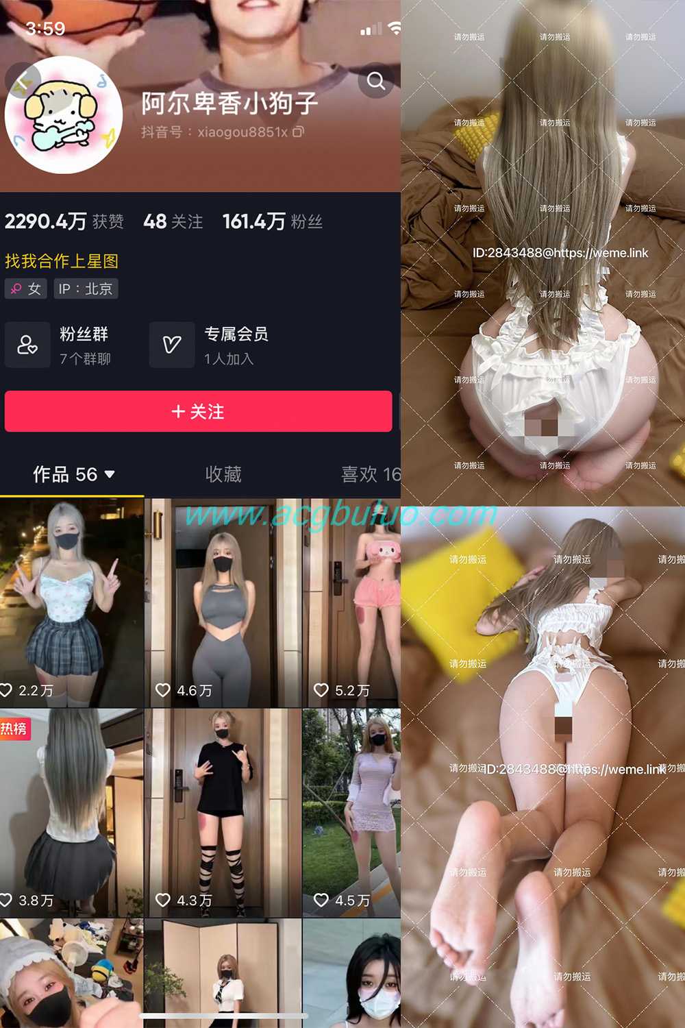 抖音 阿尔卑香小狗子 微密圈 NO.054期 【16P1V】插图 抖音 阿尔卑香小狗子 微密圈 NO.054期 【16P1V】插图